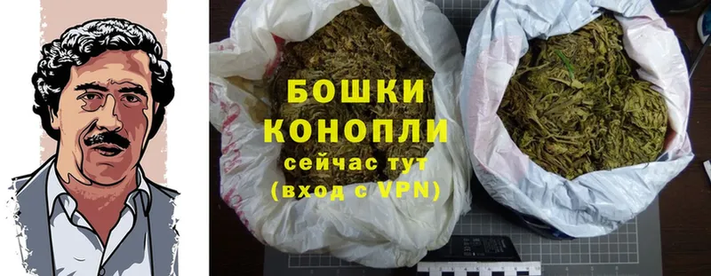 дарнет шоп  Приволжск  Канабис SATIVA & INDICA 